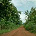 Photogrid 1516723648537 1